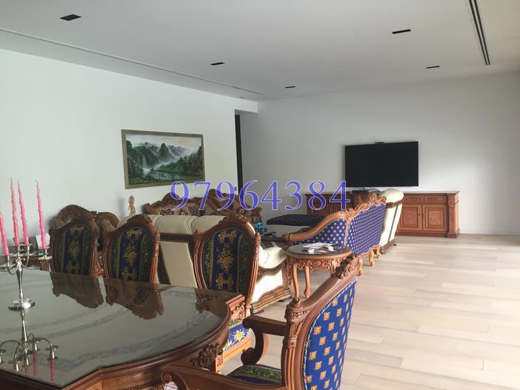 Nassim Park Residences (D10), Condominium #119981142